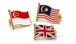 Flag Pin image 1