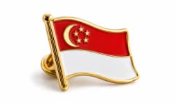 Flag Pin image 5