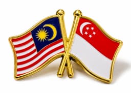 Flag Pin image 2